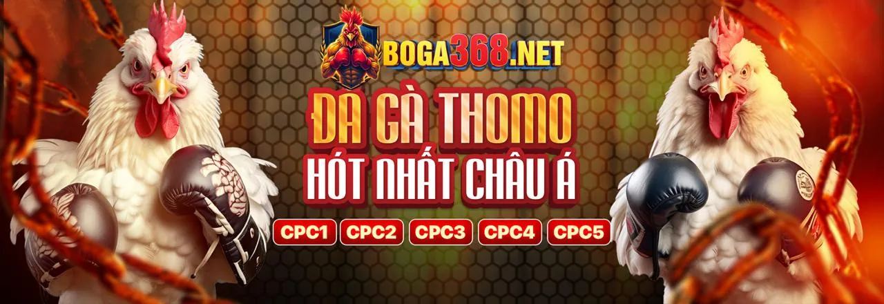 Đá gà trực tiếp 789ber