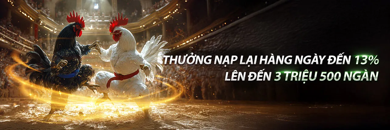 Đá gà trực tiếp 789ber - Trận đấu gay cấn tại đấu trường