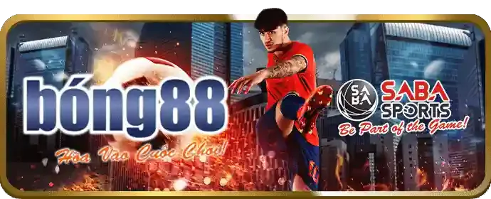 Hướng dẫn điều khoản dịch vụ 789ber